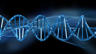 Do You Possess Longevity Genes? Discover Their Impact on Ageing.